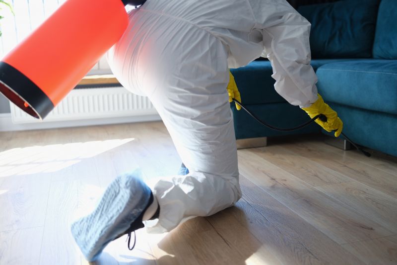 Rat Fumigation Service in Bellingham, WA