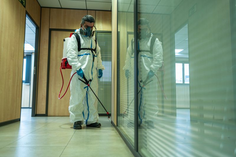 Spider Fumigation Service in Fredericksburg, VA