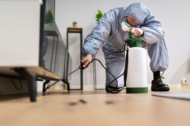 Spider Fumigation Service in West Palm Beach, FL